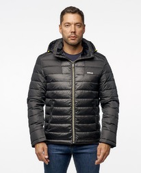 ������ ZAA 1712