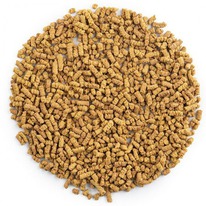 ��� ��������� �� ��� ������� ��������������� � ����������