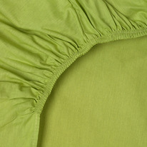        20020020, , 100% , . 110 ./