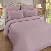      180217, , 100% , . 110 ./. .,  