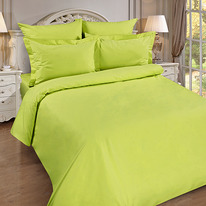      150217, , 100% , . 110 ./. .,  