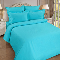      180217, , 100% , . 110 ./. .,  