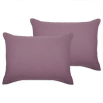   5070 - 2 .    , 100 % , . 110 ./. .,  