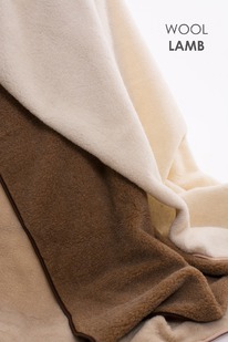 ���� ������� 