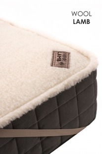 �����������-�������� �������