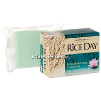     Rice Day CJ Lion, , 100  