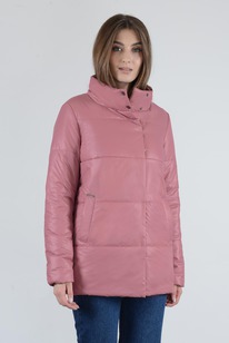 ������ ����