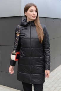 ���������� ����