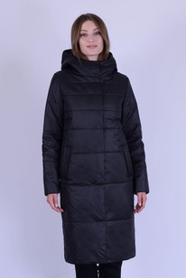 ������ ����