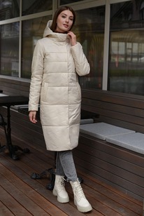 ������ ����