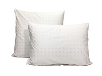 ������� ��������-��������� �� ���� �� ������ ����� - �����