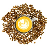 ����������������� ���� �� ������ �������