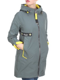 FY-906 GREEN    (100% )