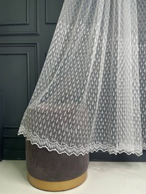 ���� �������