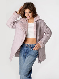 ������   24335   �����  ����������