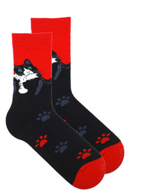 ����� �.40-45 