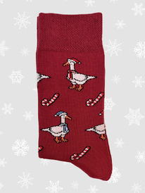 ����� �� �.35-40 