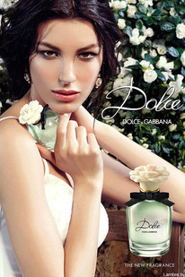 417 - ������ �����������: Dolce (Dolce&Gabbana)