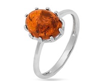 ������, ������, ���4161