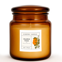 ����� �������� Orange Tree Tai Yan, 395 �