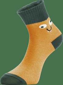 Chobot   CHOBOT   30s-29 30s-29 / 453