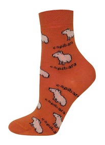      3081 SCHOOL 143081  1099 (