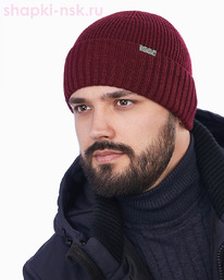 016 H FL SHM    (58-60)