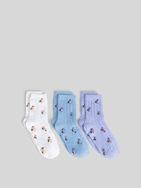 Acoola      3  Lola 20234420089 