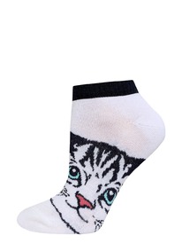 ��������� ����� Classic 1105