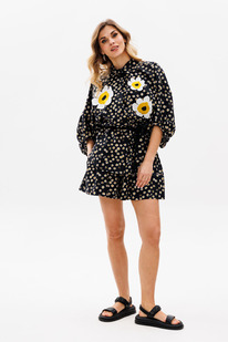 ����� ������ EOLA 2817 ������ � �������