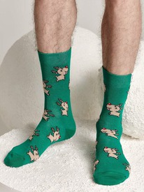 DiWaRi  DIWARI    21-71  649