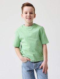 Smena 44073     T667.03 44073