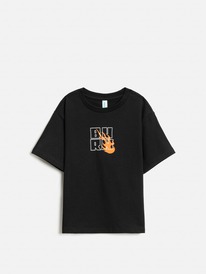 Acoola     Alcor1 20120510284 