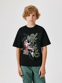 Acoola     Cheddar 20110510250 