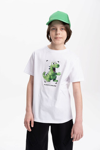 Pelican    BFT3369/1 