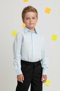 Crockid      39031/-