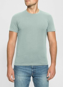   ALFA   6600 166600   (  