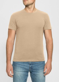   ALFA   6600 166600  (  )