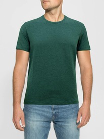 ALFA  ALFA   6603 196603 . 