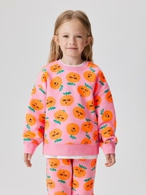 Acoola ������� ������� ��� ������� Carife_sw 20220170166 �������