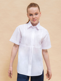 Pelican ������ ��� ������� GWCT7143 �����