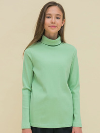 Pelican ������� ��� ������� GFJS3335 ���������