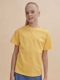 Pelican �������� ��� ������� GFT3352/1 ������