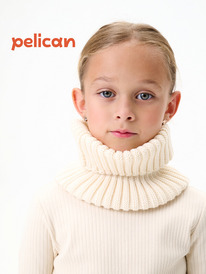 Pelican  ( "")   UKFX3385 