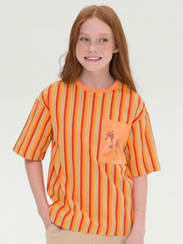 Pelican �������� ��� ������� GFT4317/1 ���������