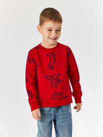 Acoola ������� ������� ��� ��������� Zvezda_sw 20120170178 �������