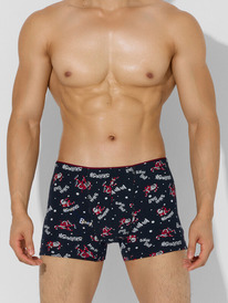 Mark Formelle   411134 411134     1050