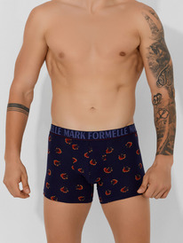 Mark Formelle   411221 411221    . 1050