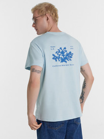 Mark Formelle   111773 111773  - + 79880