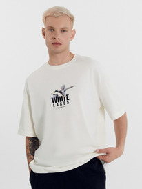 Mark Formelle   111888 111888 . +1 1050